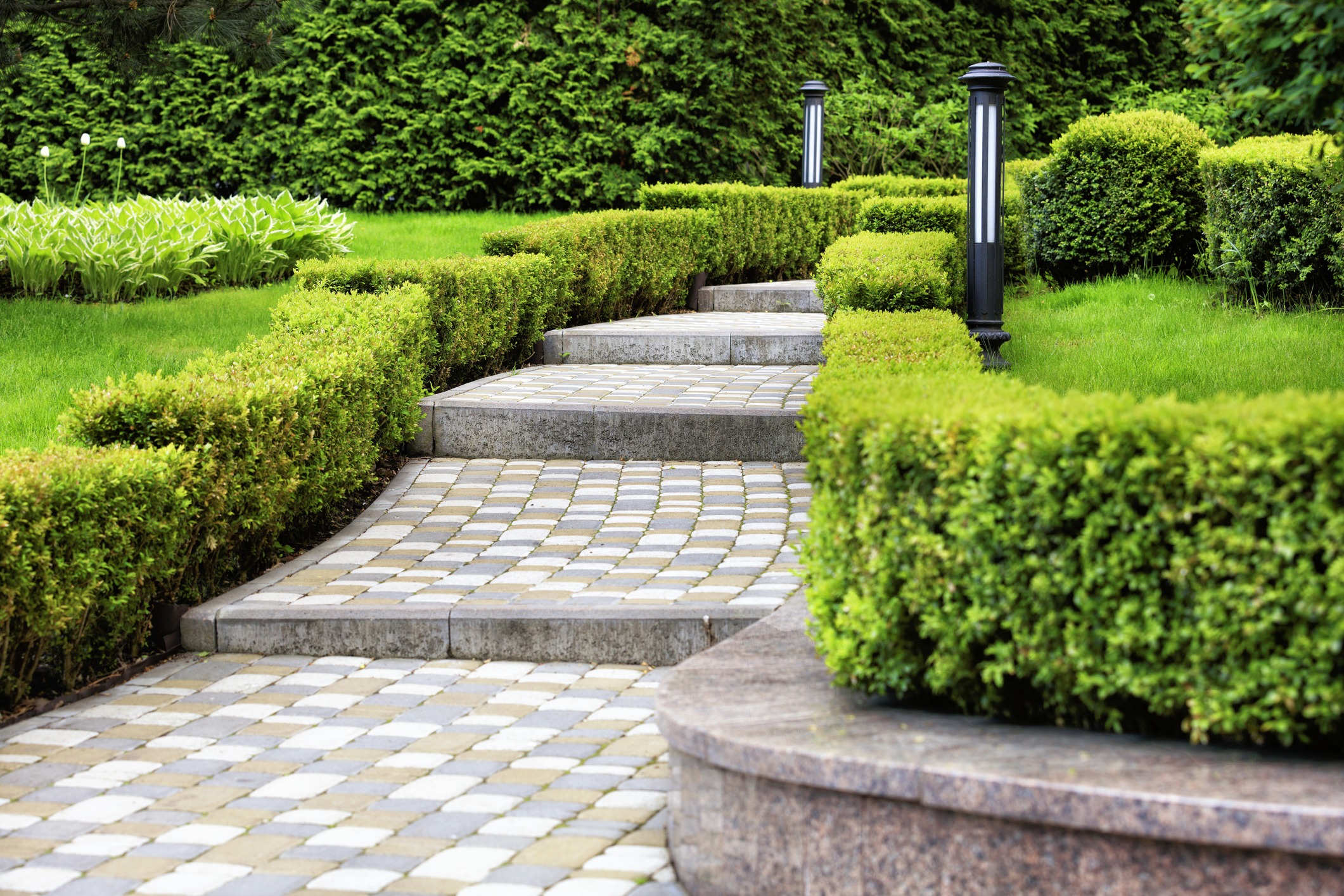 A beautifully landscaped garden path with neatly trimmed hedges, stone steps, checkered paving, and modern black lamp posts lining the walkway.