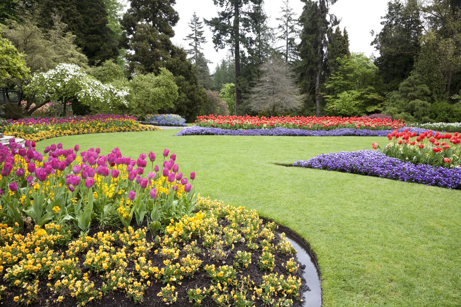 A lush garden with colorful tulips and various flowers in bloom, surrounded by tall trees, creating a serene and picturesque landscape.