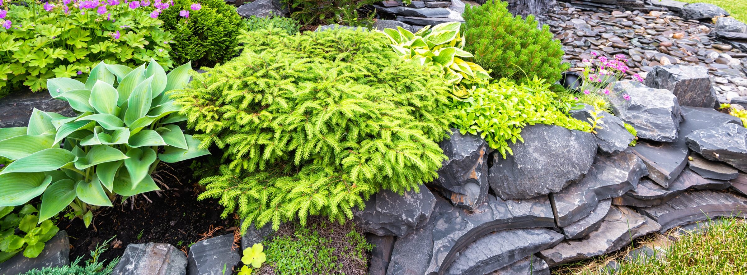 A beautifully arranged rock garden with various green plants and pink flowers, surrounded by stacked stones and pebbles.