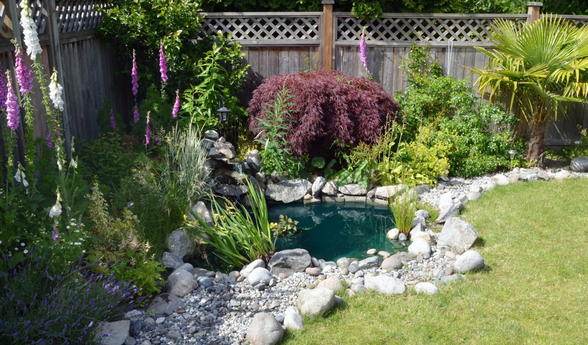 A serene garden features a small pond, surrounded by rocks, lush green plants, and purple flowers, enclosed by a wooden fence.