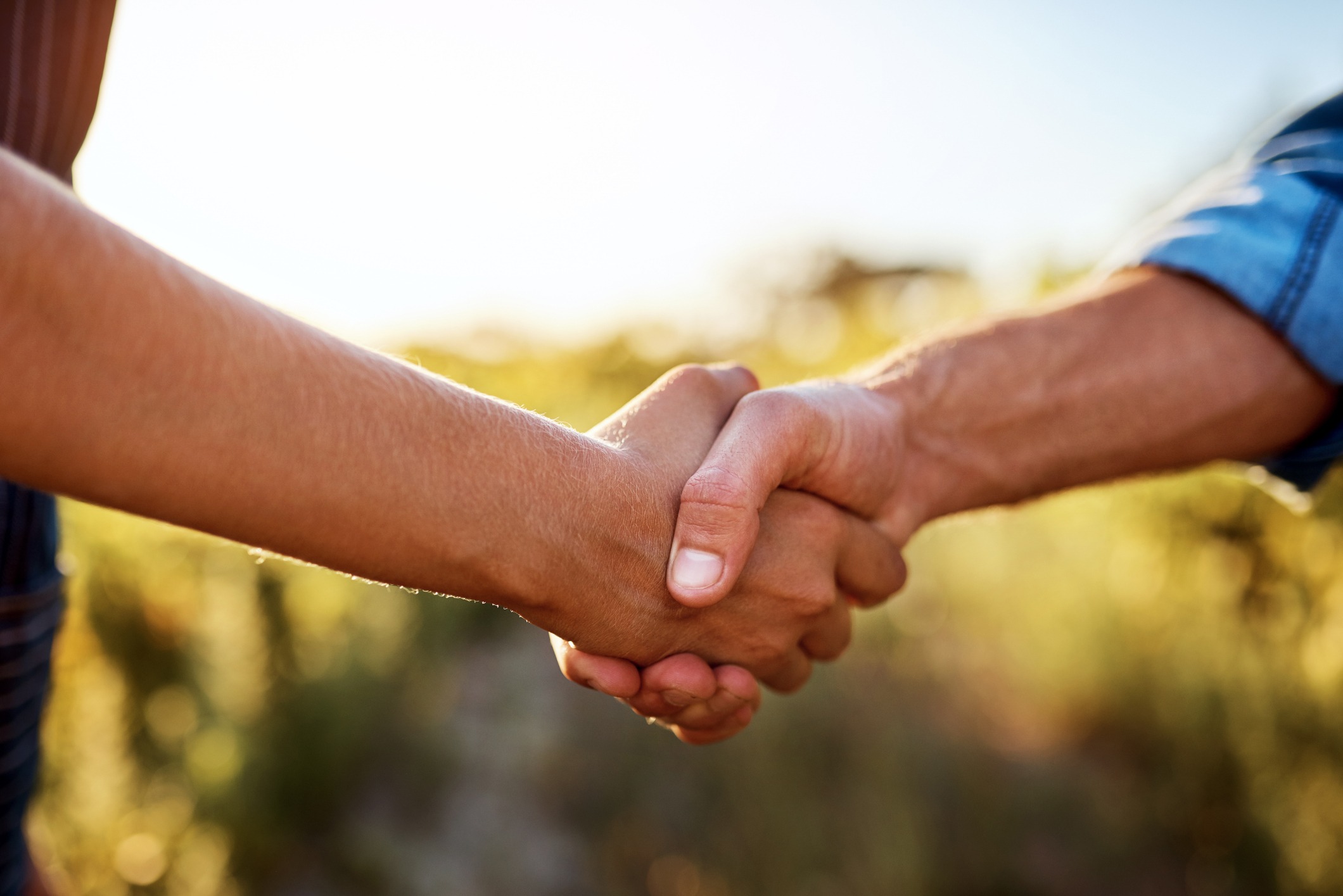 Two people shaking hands outdoors on a sunny day, surrounded by a blurred, natural background with green foliage.