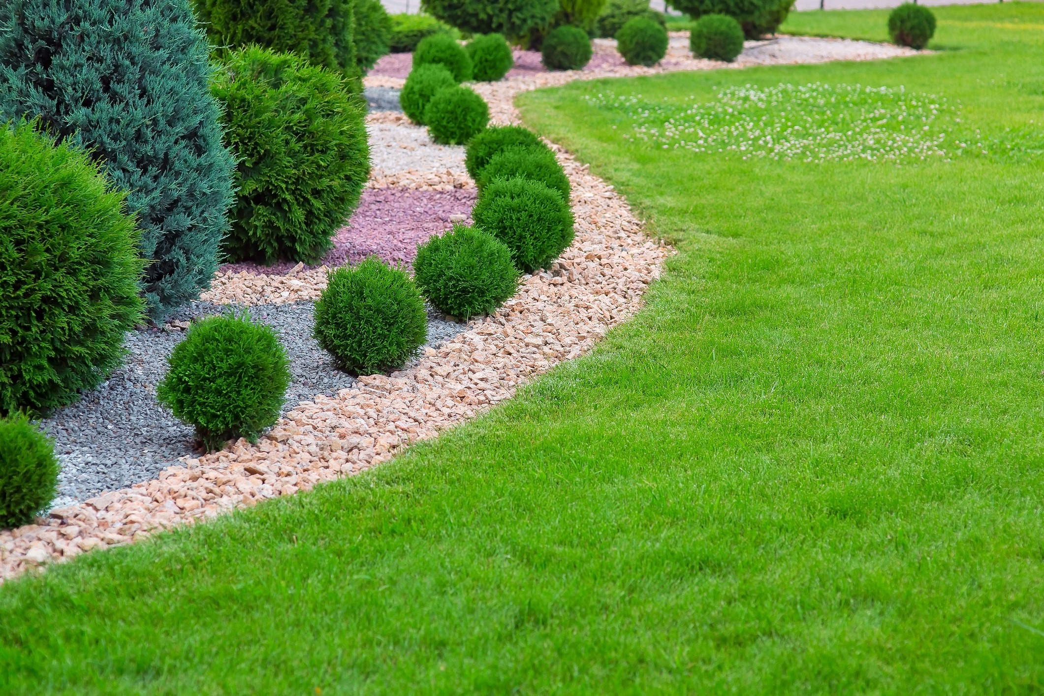 A well-maintained garden with neatly trimmed shrubs, colorful gravel, and a lush green lawn. No landmarks or historical buildings are present.