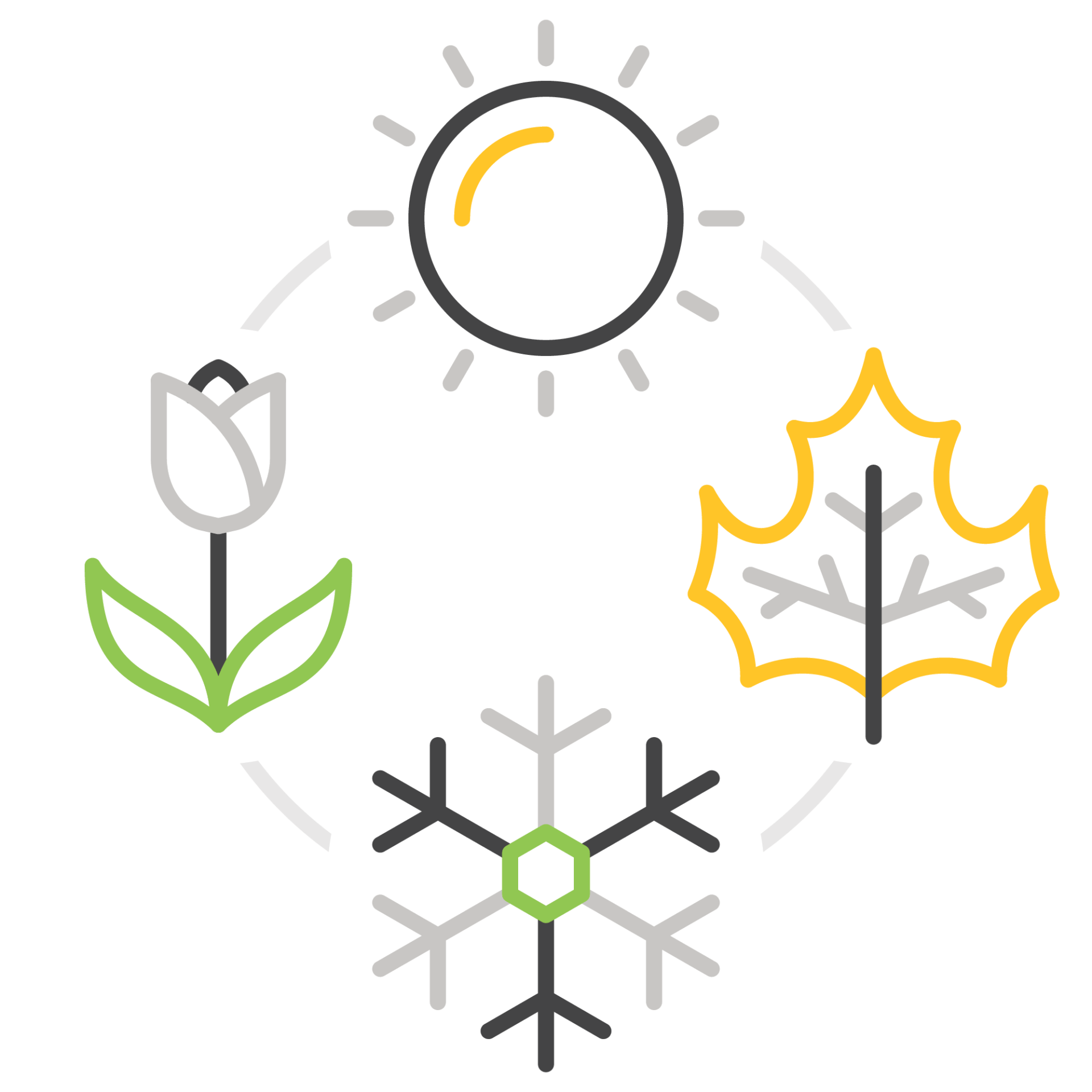 A circular illustration representing the four seasons: spring (tulip), summer (sun), autumn (maple leaf), and winter (snowflake). Simple, colorful, minimalist design.