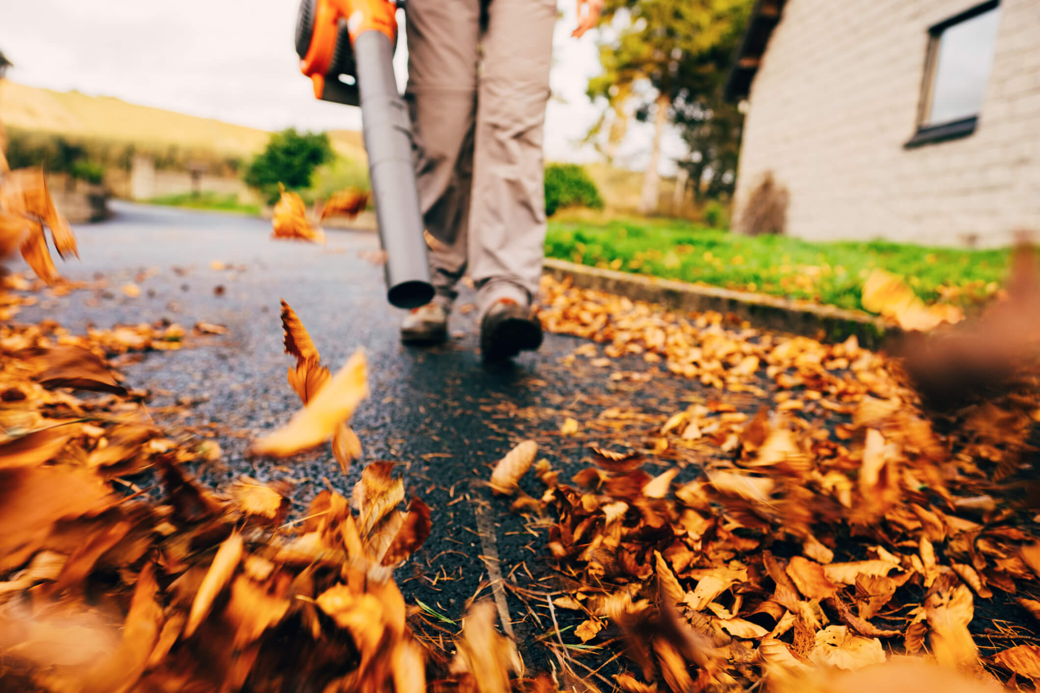 A person using a leaf blower on a pavement covered with autumn leaves near a house with a garden in the background.