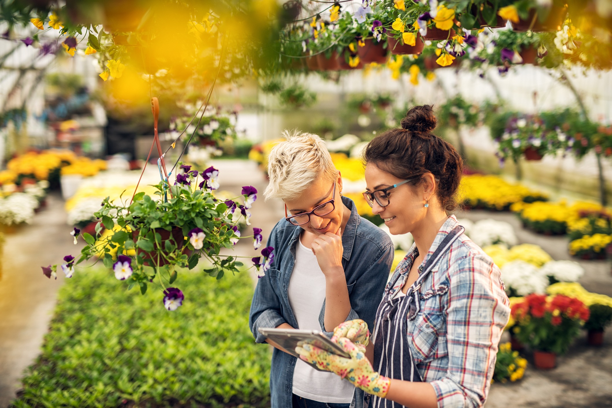 Two people, surrounded by colorful flowers in a greenhouse, look at a tablet. Hanging flower pots and blooming plants adorn the background.