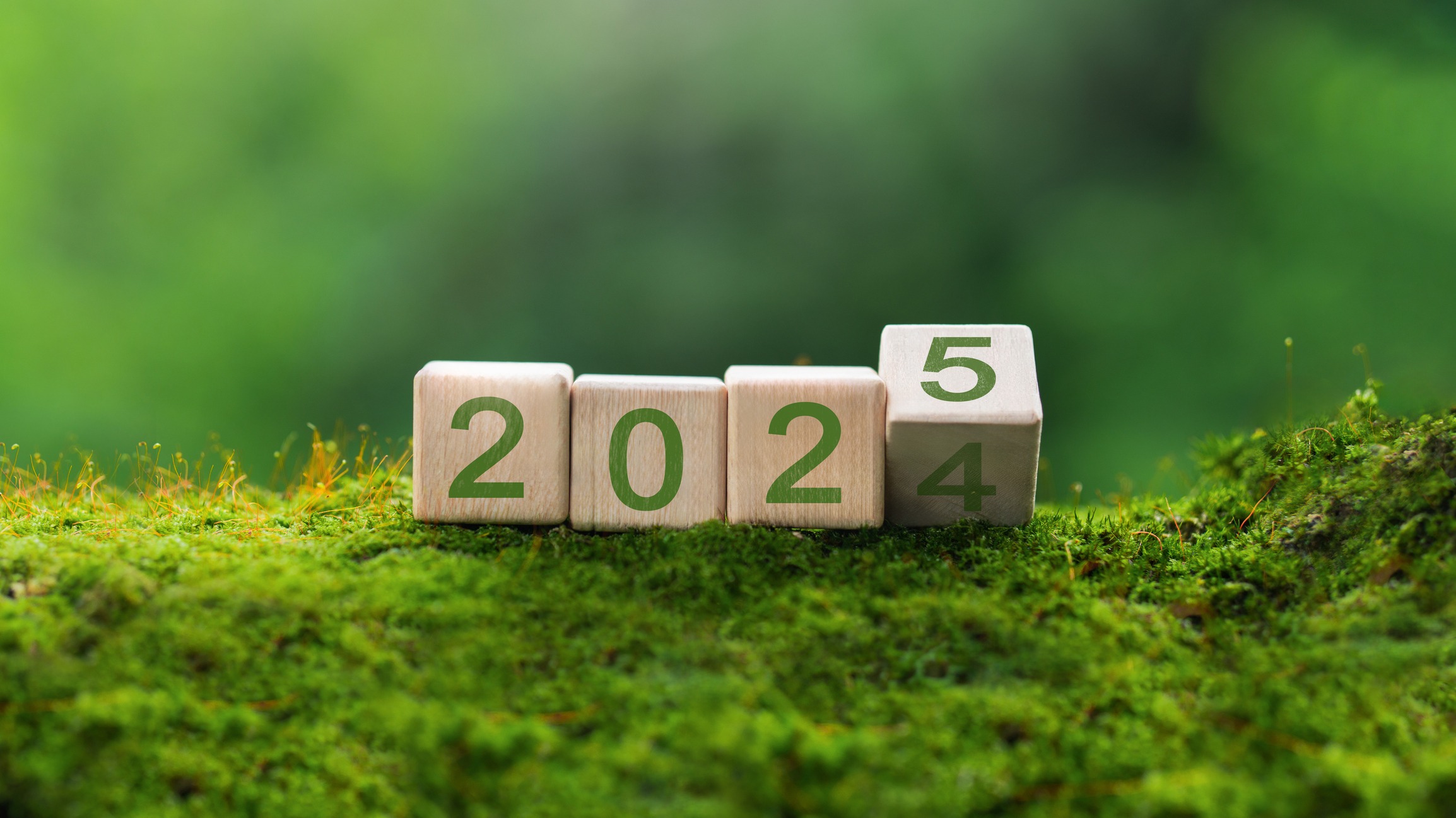 Wooden blocks displaying the transition from 2024 to 2025, placed on a vibrant green mossy surface with a blurred natural background