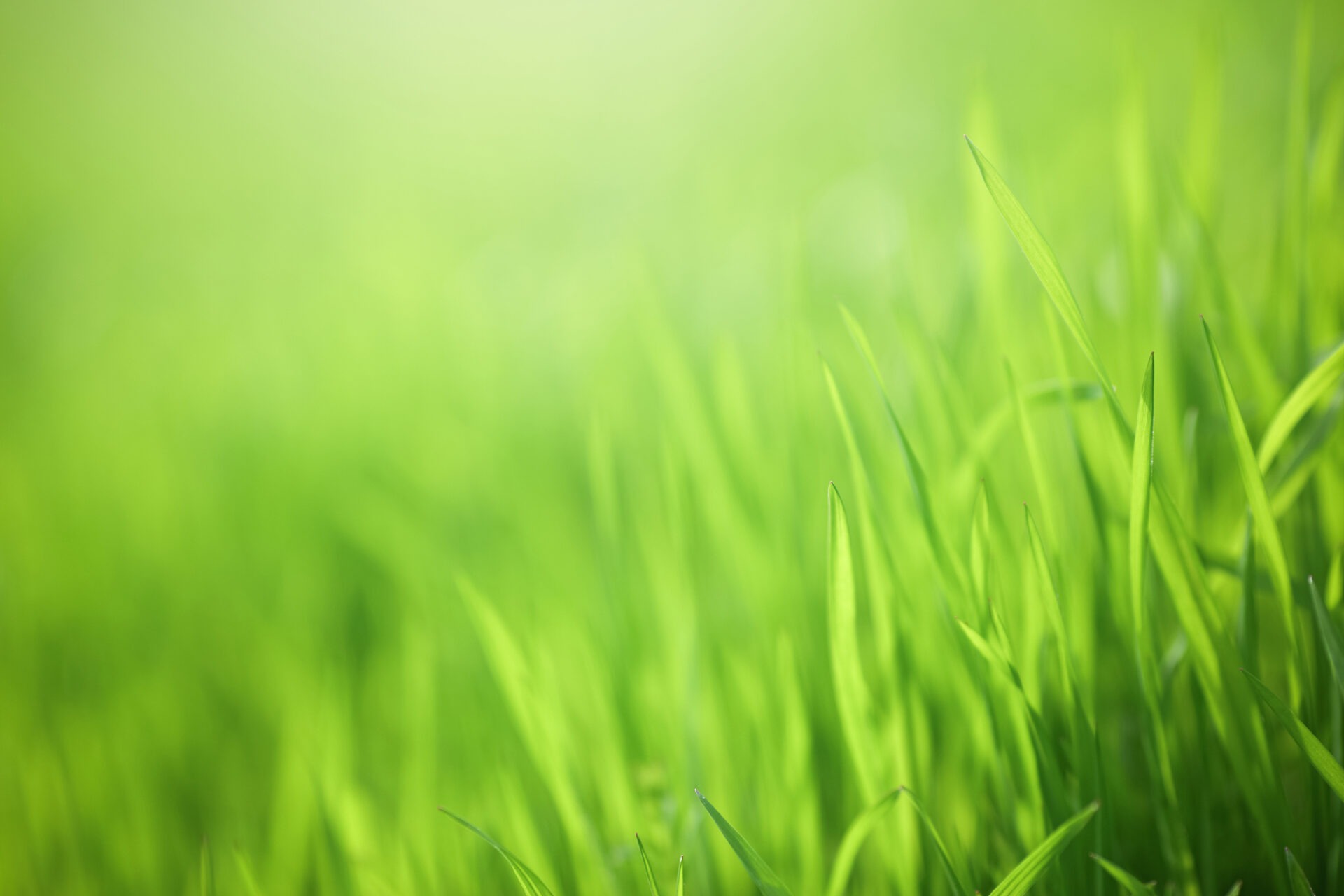 Green Nature