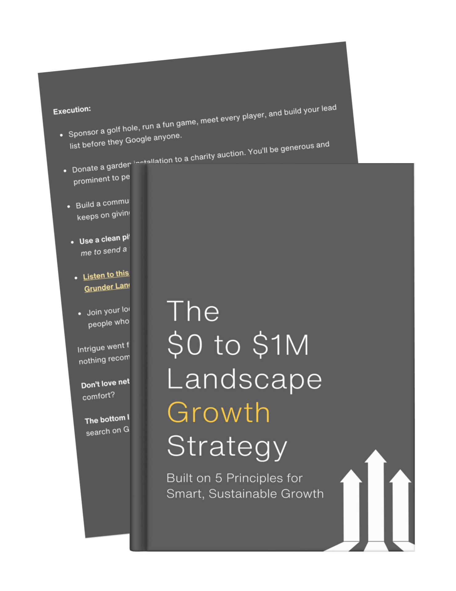 Lead Magnet The $0 to $1M Landscape Growth Strategy (8)
